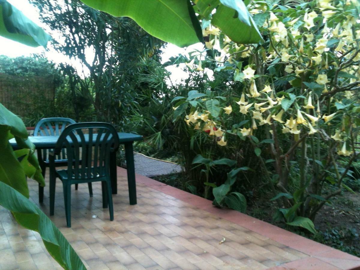 Green Villa Sand Beach Center Close Sea Veiw Cefalù Exterior foto