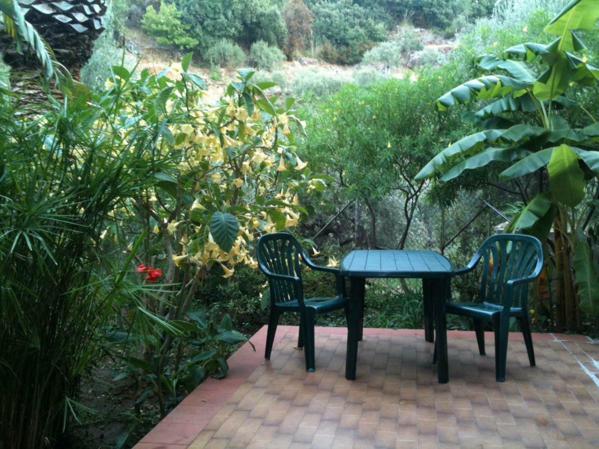 Green Villa Sand Beach Center Close Sea Veiw Cefalù Exterior foto