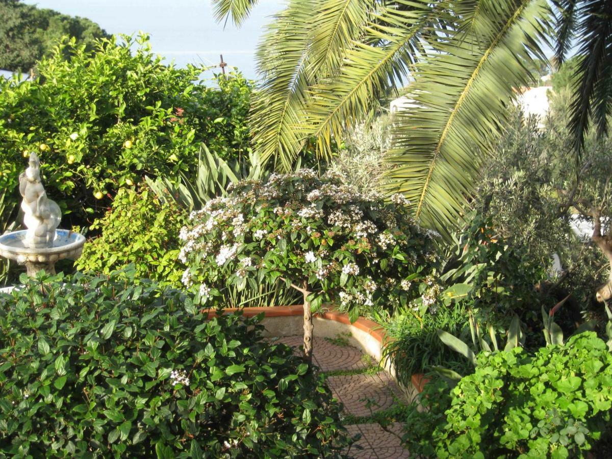 Green Villa Sand Beach Center Close Sea Veiw Cefalù Exterior foto